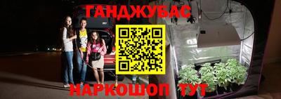 ECSTASY Гусев