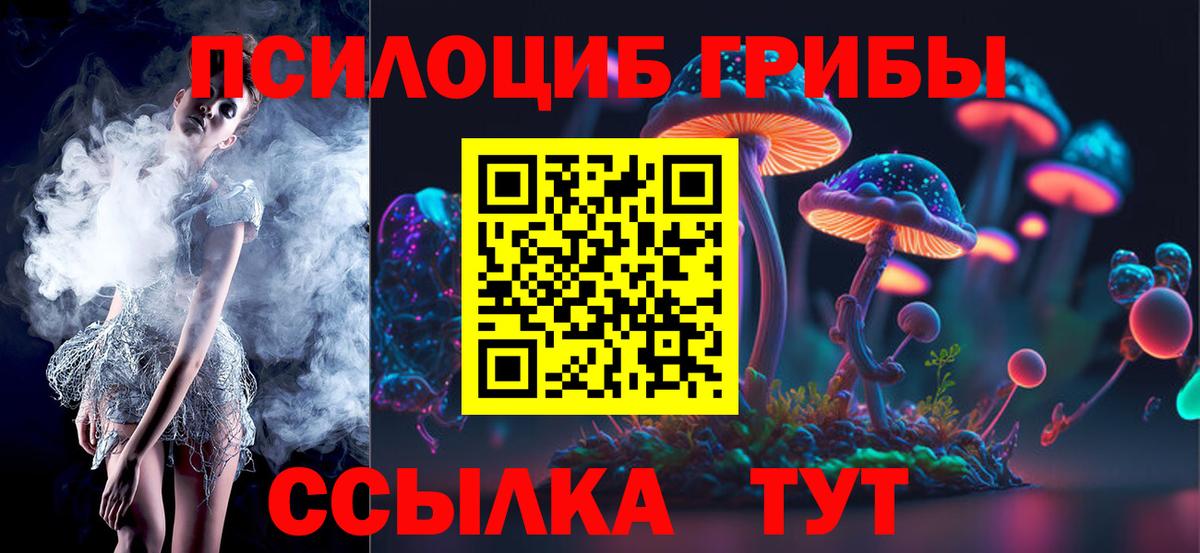 Псилоцибиновые грибы Cubensis  Вход с VPN  Назарово 