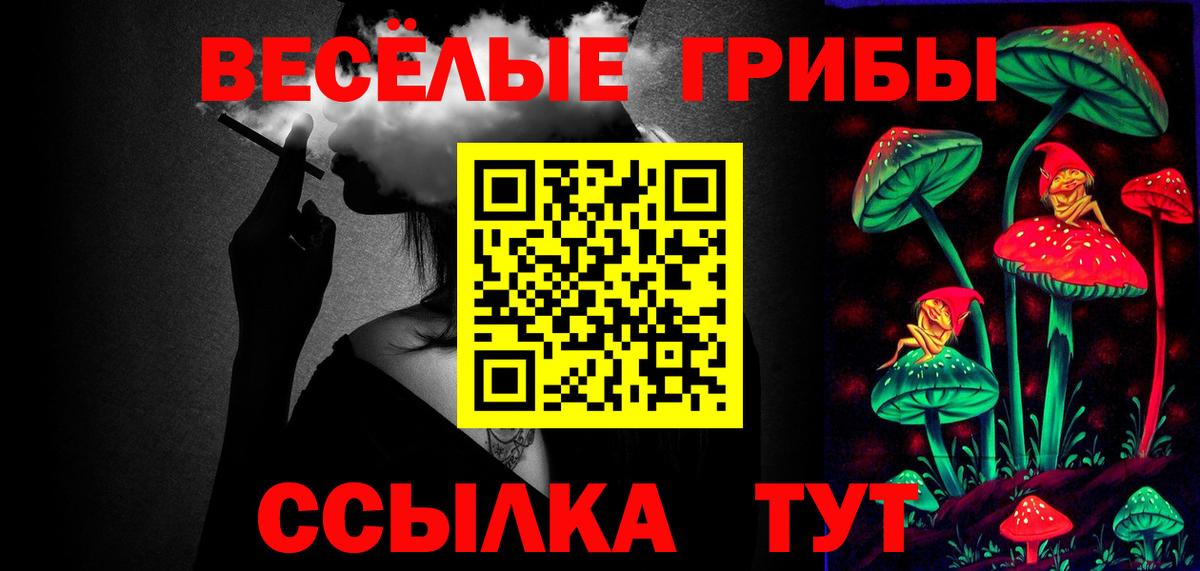 Псилоцибиновые грибы Psilocybe Назарово